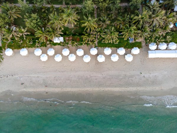 Comment organiser un séjour en Provence avec des ateliers de cuisine et des visites de vignobles ?